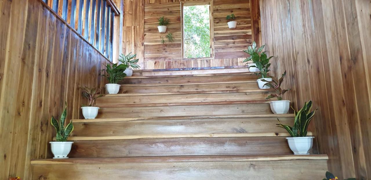 Tuyet'S Homestay نينه بينه المظهر الخارجي الصورة