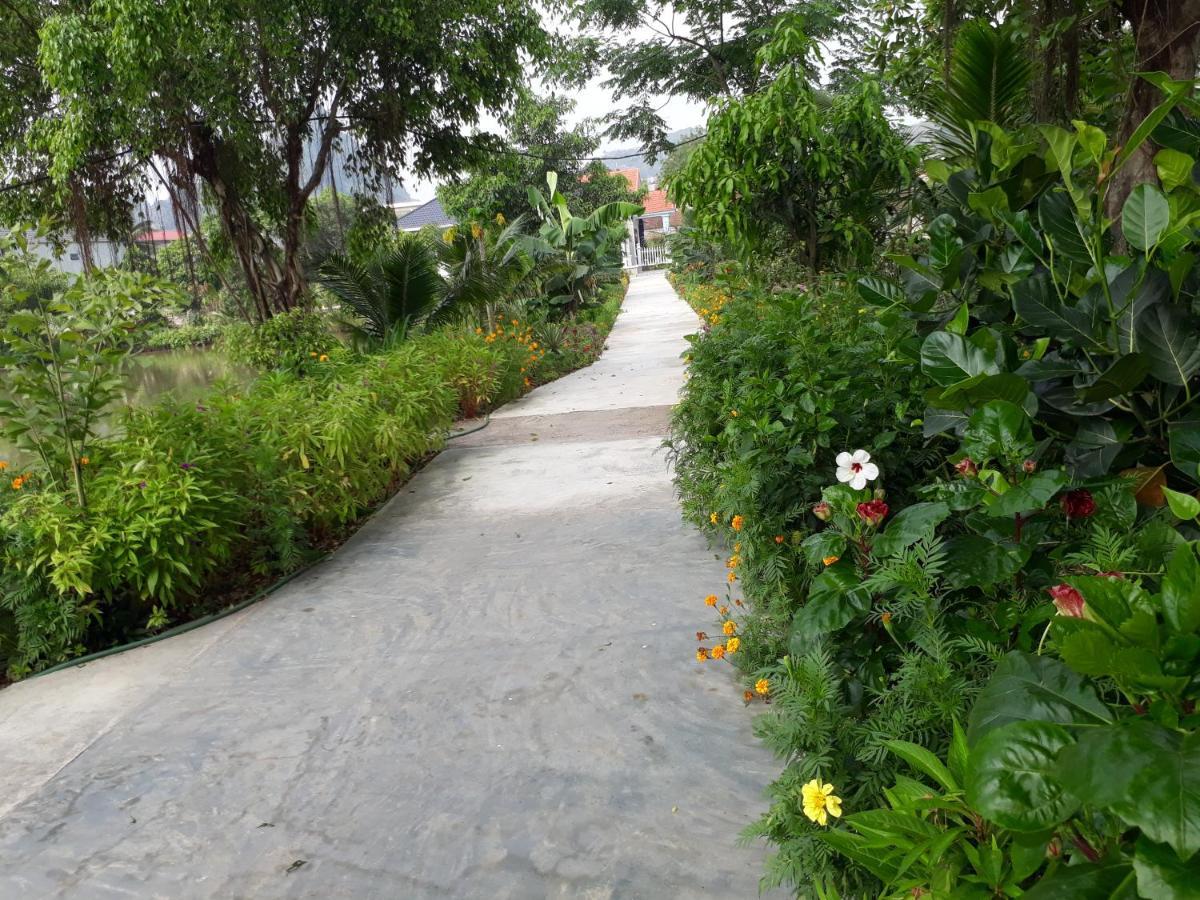 Tuyet'S Homestay نينه بينه المظهر الخارجي الصورة