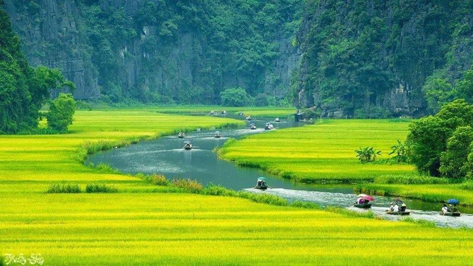 Tuyet'S Homestay نينه بينه المظهر الخارجي الصورة