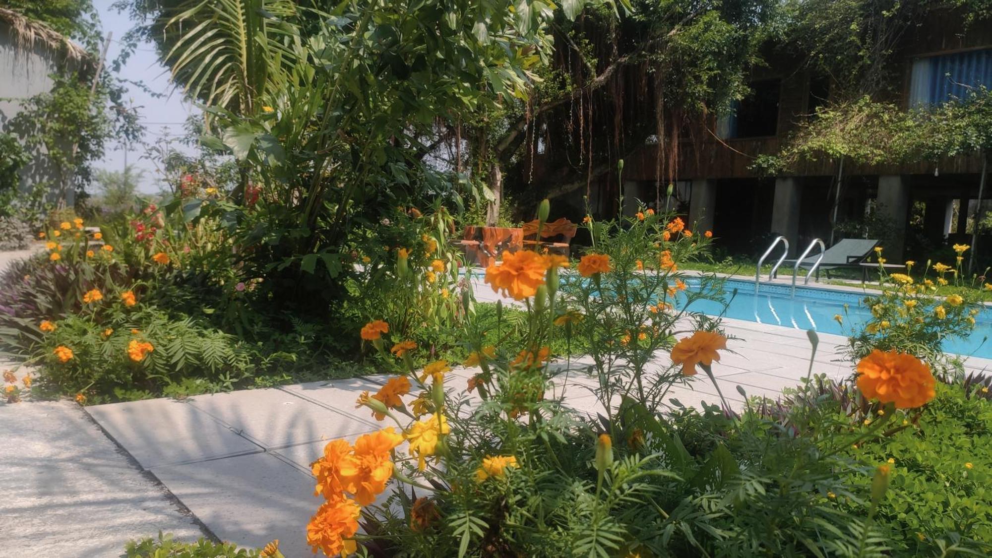 Tuyet'S Homestay نينه بينه المظهر الخارجي الصورة