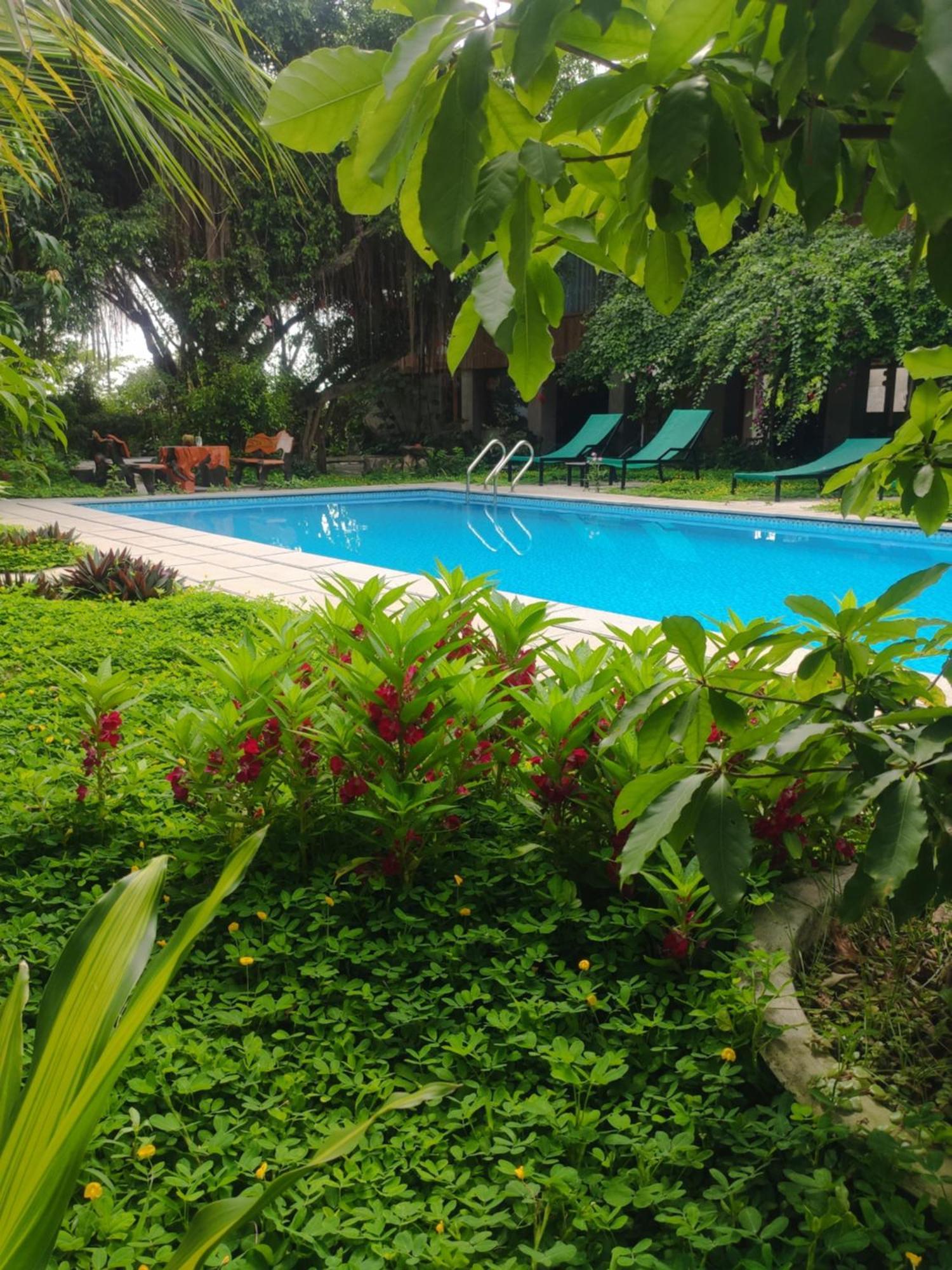 Tuyet'S Homestay نينه بينه المظهر الخارجي الصورة